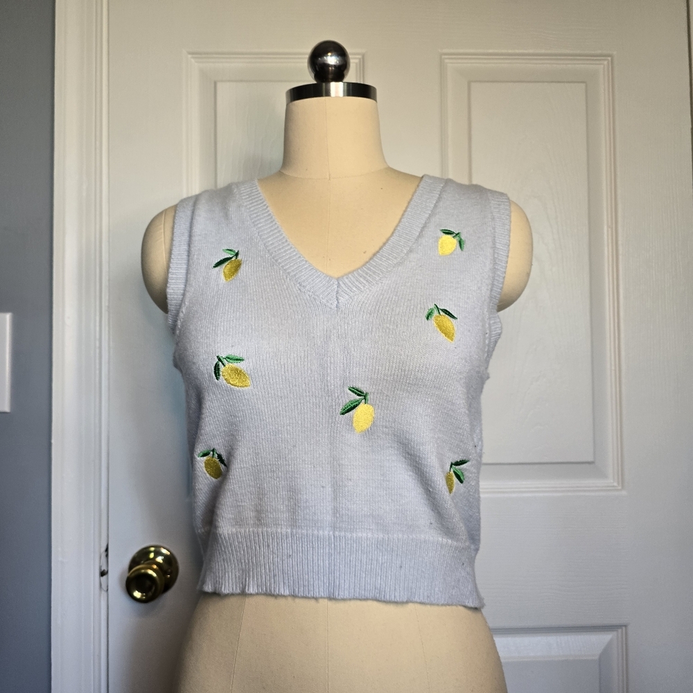 Medium baby blue Blue Rain x Francesca's Sweater Vest